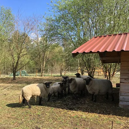 Ferienhaus Ferienhaus Für Bis Zu 4 Personen Zur Seeseite - [#125261] Grobern