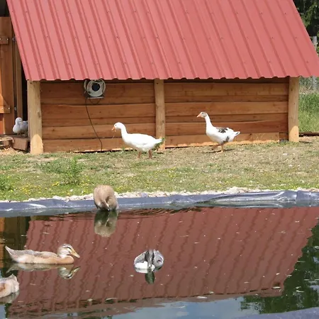 Ferienhaus Ferienhaus Für Bis Zu 4 Personen Zur Seeseite - [#125261] *
